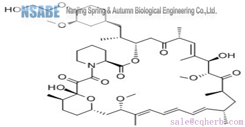 everolimus 159351-69-6