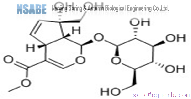 Geniposide Jasminoidin 24512-63-8