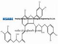 Salvianolic acid B 115939-25-8