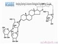 Protodioscin 55056-80-9