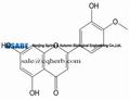 Diosmetin 520-34-3