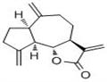 Dehydrocostus Lactone 477-43-0