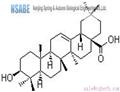 Oleanolic acid 508-02-1