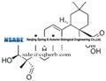 Quillaic acid 631-01-6