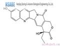 10-Hydroxycamptothecin 19685-09-7