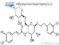 Forsythoside A 79916-77-1