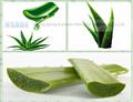 Aloe-emodin 481-72-1