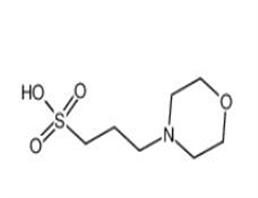 1132-61-2  4-Morpholinepropanesulfonic acid  MOPS