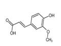 Ferulic Acid