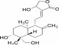  Andrographolide 