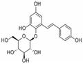 2,3,5,4＇-Tetrahydroxy stilbene-2-Ο-β-D-glucoside pictures