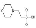 4432-31-9  4-Morpholineethanesulfonic acid  MES