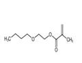 2-n-Butoxyethyl methacrylate 13532-94-0 pictures