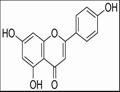 Apigenin