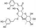 Acteoside