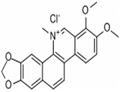 Chelerythrine 