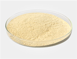  Hydroxyethyl Cellulose 9004-62-0