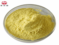 Pharmaceutical Raw Powder Oxytetracycline Hydrochloride / Oxytetracycline HCl 