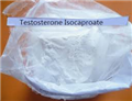 Testosterone Isocaproate