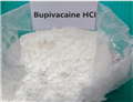 Bupivacaine hydrochloride