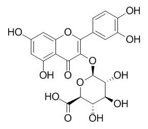 Quercetin-3-O-glucuronide