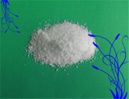 Benzocaine base