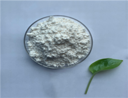 Intercain Hydrochloride