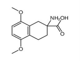 2-amino-5,8-dimethoxy-3,4-dihydro-1H-naphthalene-2-carboxylic acid