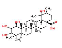 1β-Hydroxyeuscaphic acid