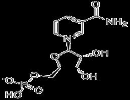 β-Nicotinamide Mononucleotide NMN