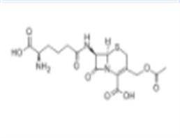 7-(5-amino-5-carboxyvaleramido)cephalosporanic acid