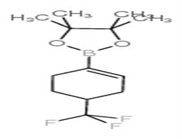 4-(Trifluoromethyl)cyclohex-1-enylboronic acid pinacol ester