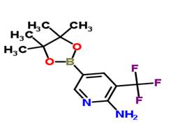 5-(4,4,5,5-tetramethyl-1,3,2-dioxaborolan-2-yl)-3-(trifluoromethyl)pyridin-2-amine