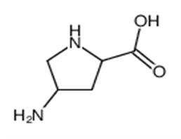 4-aminopyrrolidine-2-carboxylic acid