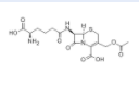 	7-(5-amino-5-carboxyvaleramido)cephalosporanic acid