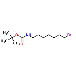 2-Methyl-2-propanyl (7-bromoheptyl)carbamate