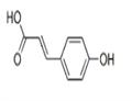 4-Hydroxycinnamic acid