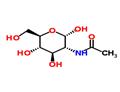 N-acetyl-α-D-glucosamine