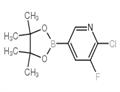 2-Chloro-3-fluoro-5-(4,4,5,5-tetramethyl-1,3,2-dioxaborolan-2-yl)pyridine pictures