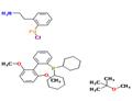 	chloropalladium(1+),dicyclohexyl-[2-(2,6-dimethoxyphenyl)phenyl]phosphane,2-methoxy-2-methylpropane,2-phenylethanamine pictures