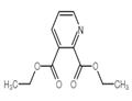 Diethyl pyridine-2,3-dicarboxylate pictures