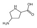 4-aminopyrrolidine-2-carboxylic acid pictures