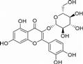 Isoquercitrin