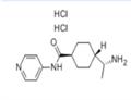 Y-27632 DIHYDROCHLORIDE