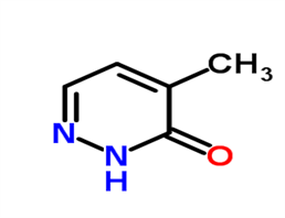 4-methyl-2,3-dihydropyridazin-3-one