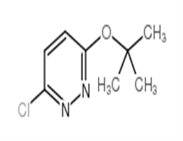 3-chloro-6-[(2-methylpropan-2-yl)oxy]pyridazine