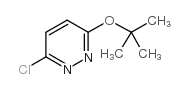 3-chloro-6-[(2-methylpropan-2-yl)oxy]pyridazine