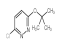 3-chloro-6-[(2-methylpropan-2-yl)oxy]pyridazine pictures