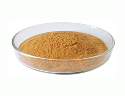 Dried mulberry leaves extract/morus alba leaves extract