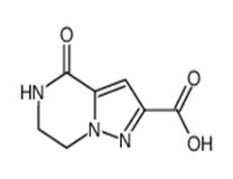 	4-oxo-4,5,6,7-tetrahydropyrazolo[1,5-a]pyrazine-2-carboxylic acid